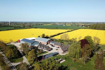 Wohnung Gelting - 4 Zimmer, 115 m&sup2;, 1.450&euro; | Angebot:24596793