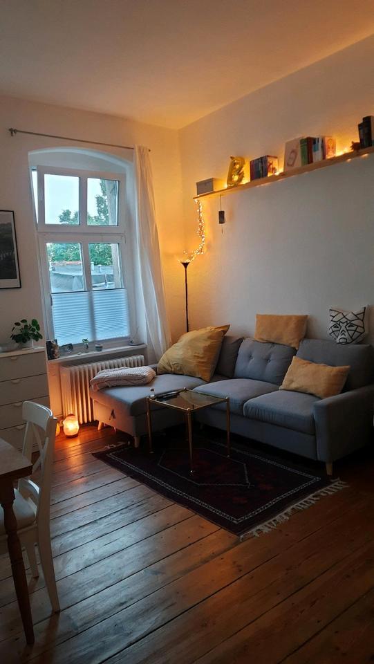 sublet one room apartment november - february