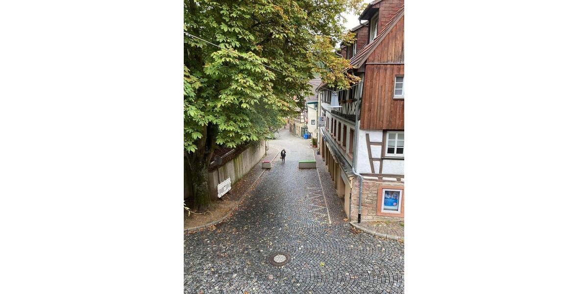 Wohnen auf Zeit Mosbach - 20 Zimmer, 50 m&sup2;, 350&euro; | Angebot:26634812