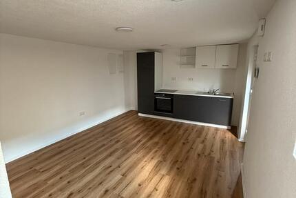 Moderne 2 Zimmer Wohnung in Bad Rappenau Heinsheim mit EBK 2 zimmer