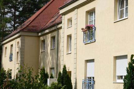 Wohnung Welzow - 3 Zimmer, 95 m&sup2;, 513&euro; | Angebot:19443364