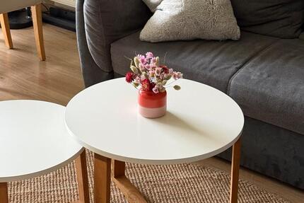 Zwischenmiete in Münster-Süd (Aaseestadt) 01.01.26-01.03.26 2 zimmer