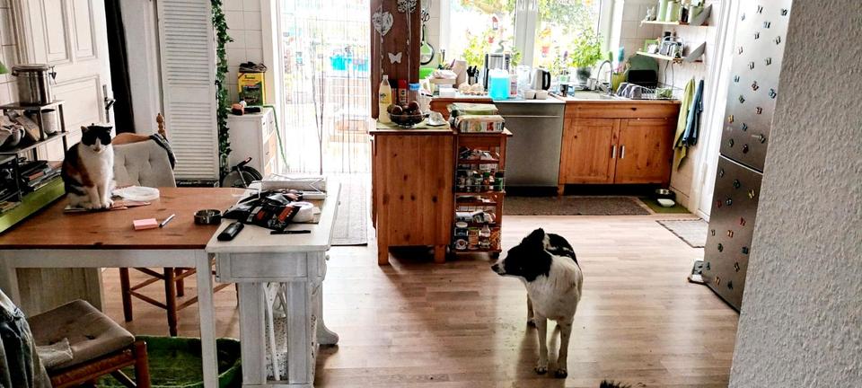 Einfamilienhaus Oederquart - 1 Zimmer, 180 m&sup2;, 650&euro; | Angebot:24741405