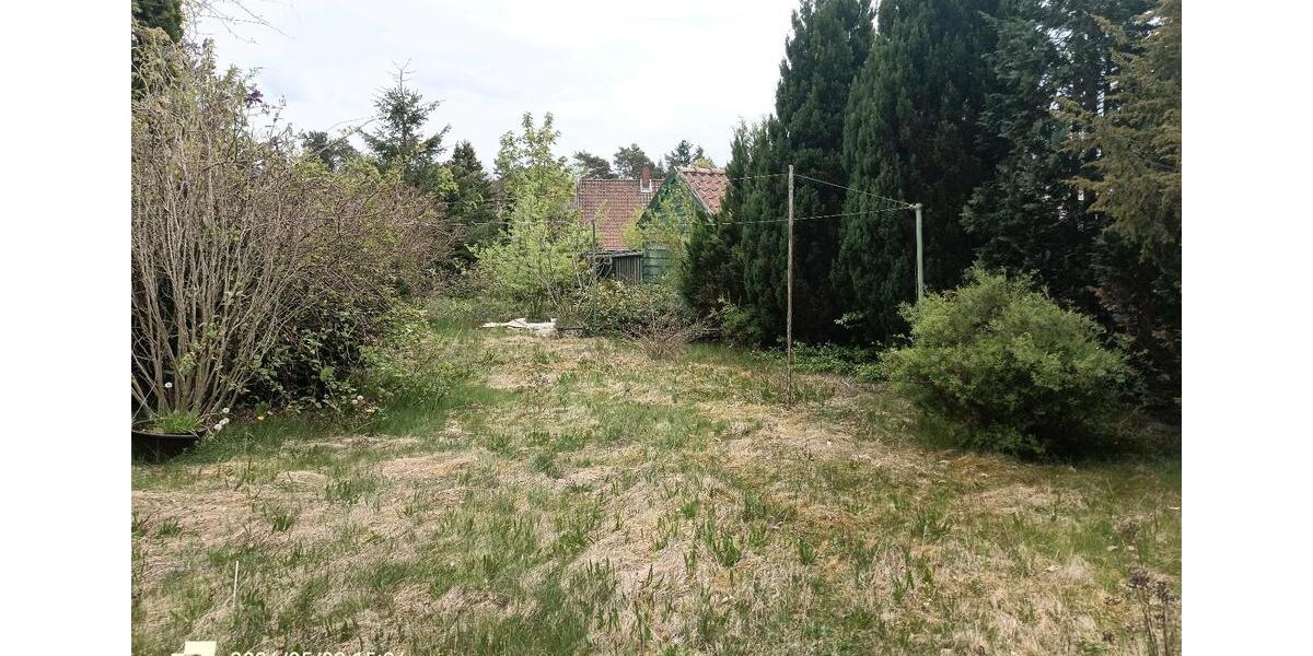 Doppelhaushälfte Südheide Unterlüß - 4 Zimmer, 85 m&sup2;, 800&euro; | Angebot:26550068