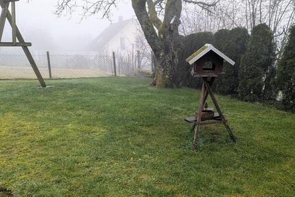 Wohnung Birkenfeld - 2 Zimmer, 65 m&sup2;, 480&euro; | Angebot:24892915