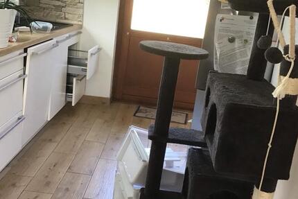 Haus Lützelbach - 5 Zimmer, 105 m&sup2;, 1.450&euro; | Angebot:27620796