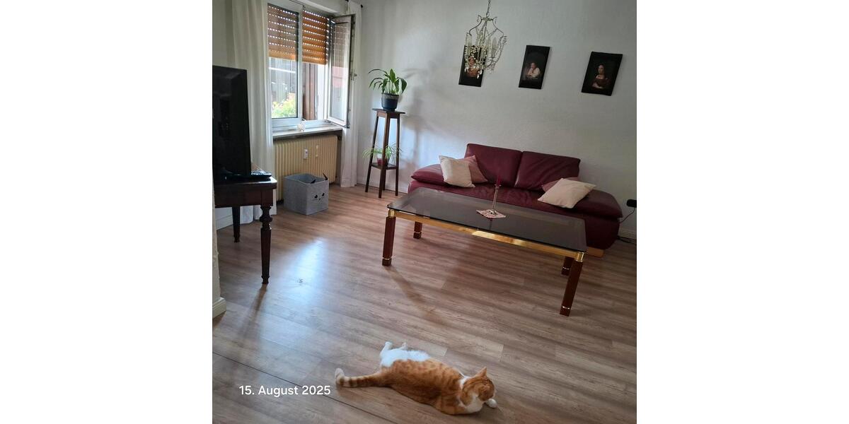 Wohnung für Monteure oder Kurzzeitmiete zimmer