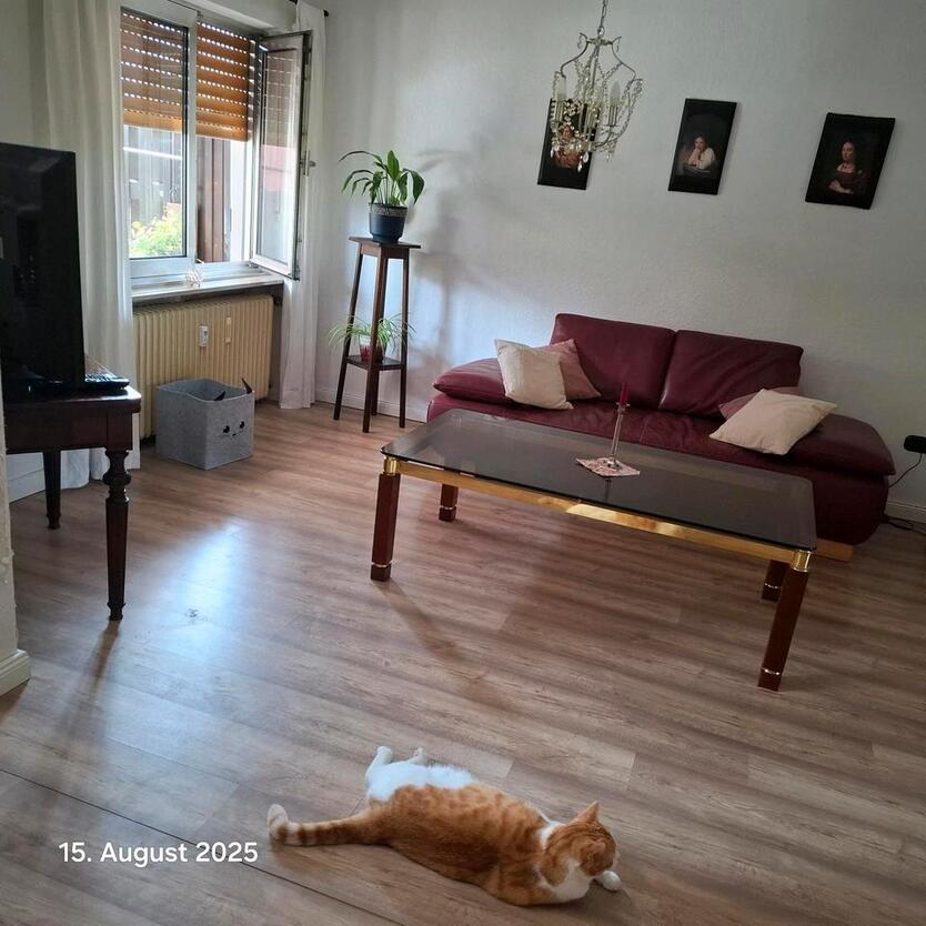 Wohnung für Monteure oder Kurzzeitmiete zimmer