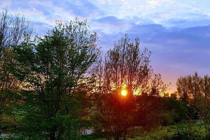 Wohnung Donaueschingen - 2.5 Zimmer, 70 m&sup2;, 710&euro; | Angebot:25233014