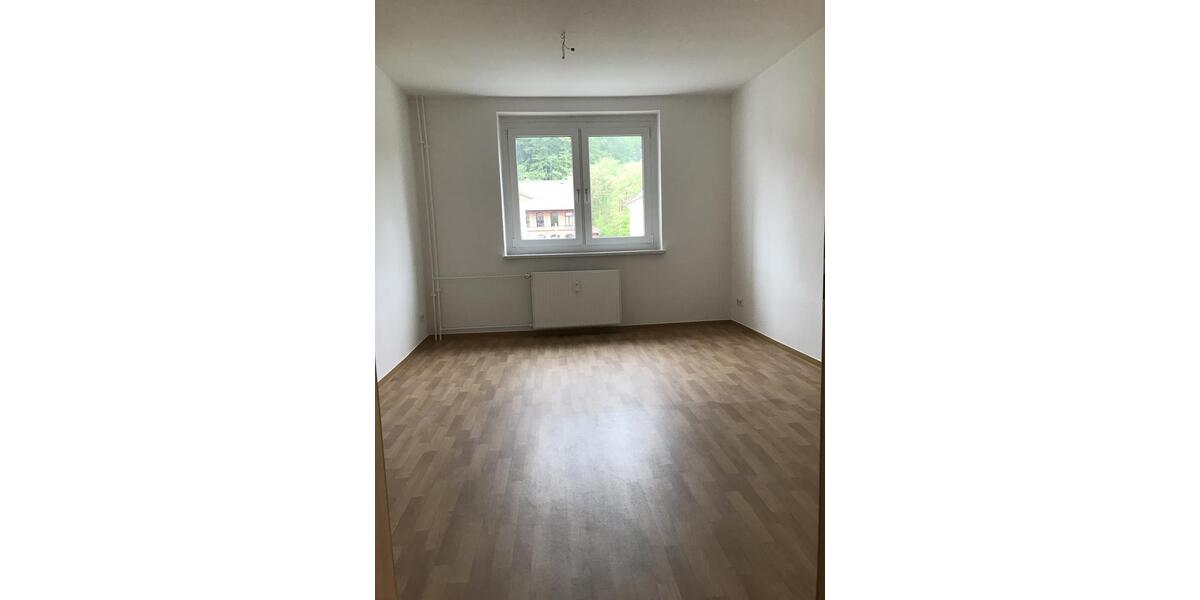 Etagenwohnung Harztor - 2 Zimmer, 49 m&sup2;, 375&euro; | Angebot:26563051