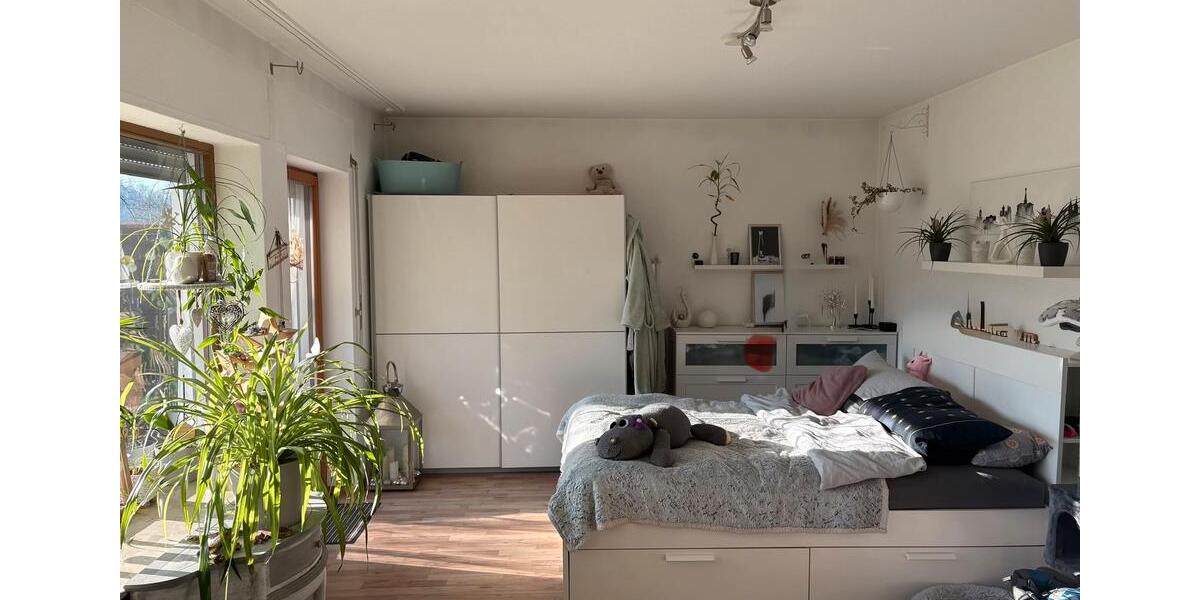 Gemütliche 1-Zimmer-Einliegerwohnung mit Terrasse 1 zimmer