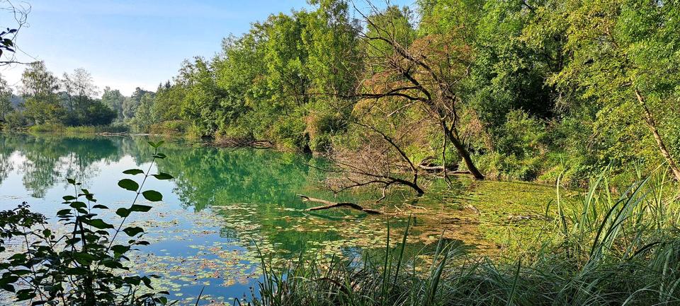 Wohnen auf Zeit Kellmünz an der Iller - 1 Zimmer, 45 m&sup2;, 45&euro; | Angebot:24979575