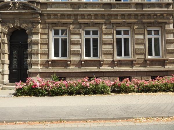 Große Gewerbeeinheit im Herzen von Aschersleben zimmer