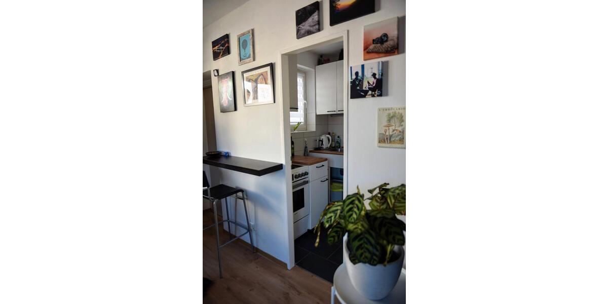 Wohnen auf Zeit Frankfurt am Main Nordend Ost - 1 Zimmer, 30 m&sup2;, 900&euro; | Angebot:26684298