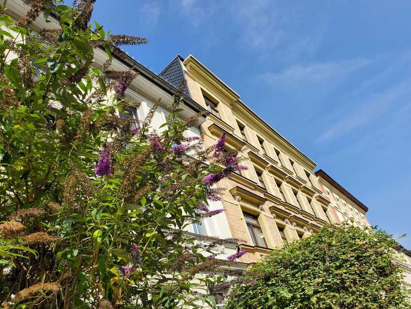 Wohnung zum Mieten in Halle 530 € 55 m² 2 zimmer