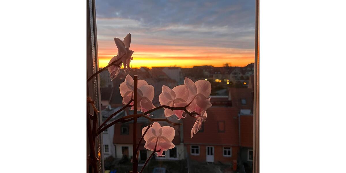 Dachgeschoßwohnung Hoyerswerda - 3 Zimmer, 80 m&sup2;, 850&euro; | Angebot:26220000