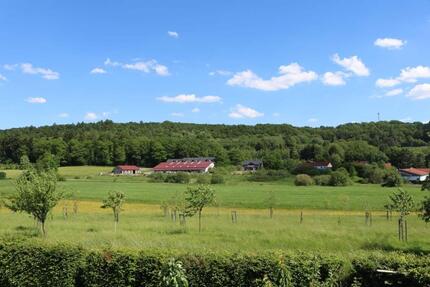 Wohnen auf Zeit Birkenfeld - 1 Zimmer, 30 m&sup2;, 35&euro; | Angebot:26042712