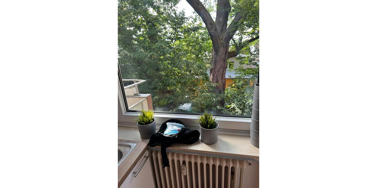 Wohnen auf Zeit Bonn Küdinghoven - 1 Zimmer, 1 m&sup2;, 730&euro; | Angebot:25297644