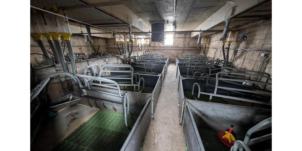 Gewerbeobjekt Jessen (Elster) - 785&euro; | Angebot:24373632