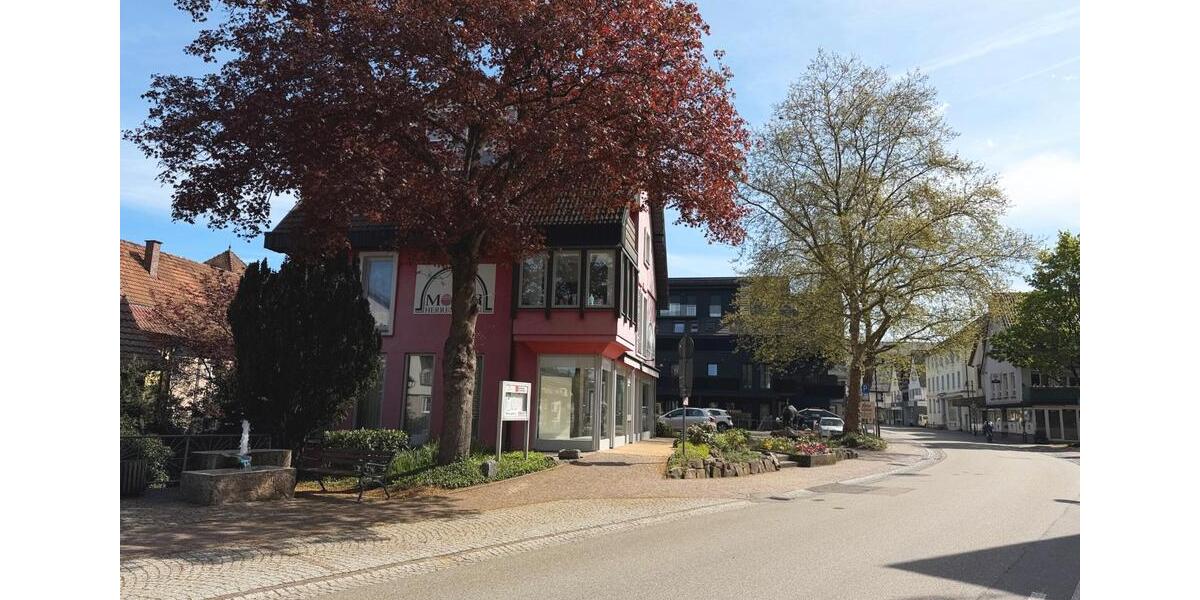 Gewerbeobjekt Hausach - 1.675&euro; | Angebot:26594677