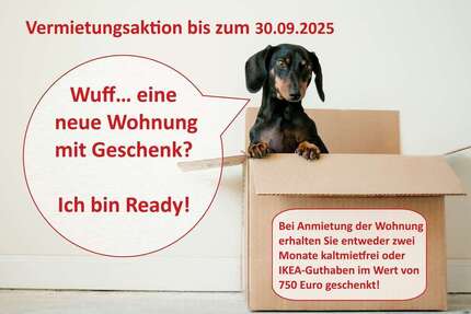 Wohnung zum Mieten in Halle (Saale) 430 € 59 m²