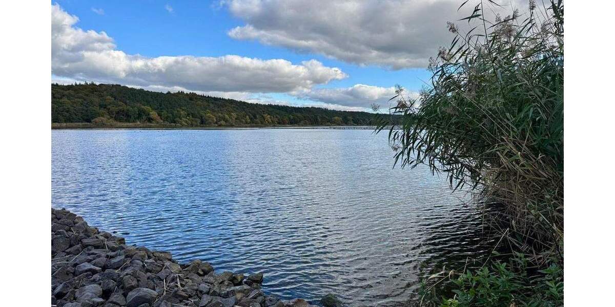 Traumhafte Haushälfte an der Elbe von Privat* Neubau* 4 zimmer