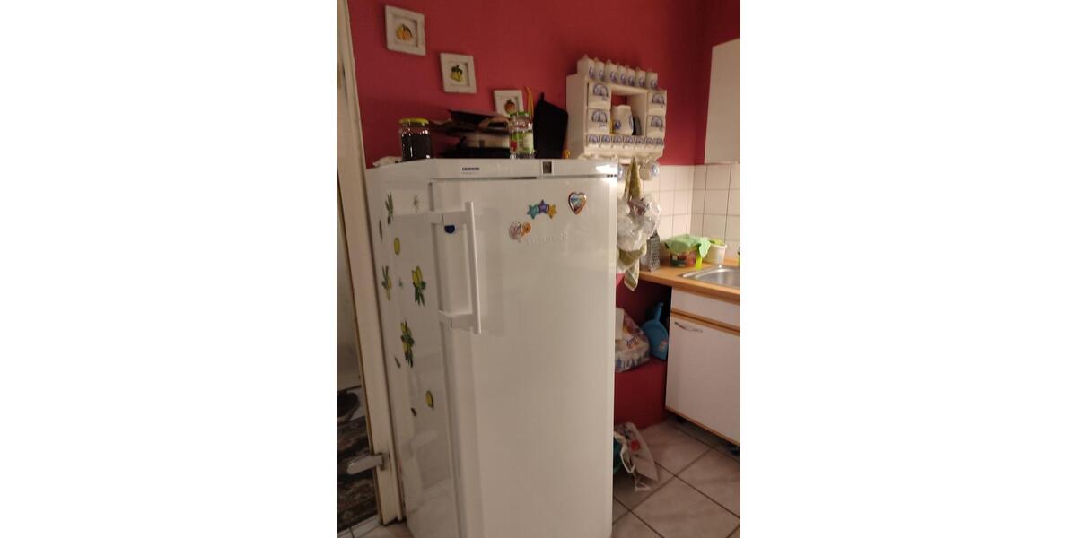 Wohnen auf Zeit Hohen Neuendorf Borgsdorf - 1 Zimmer, 11 m&sup2;, 450&euro; | Angebot:25615188