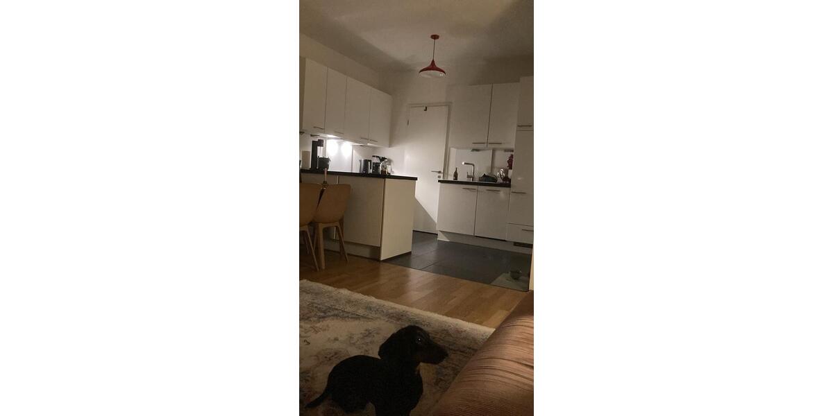 Untermiete Privatwohnung 23.12.-27.12. 2 zimmer