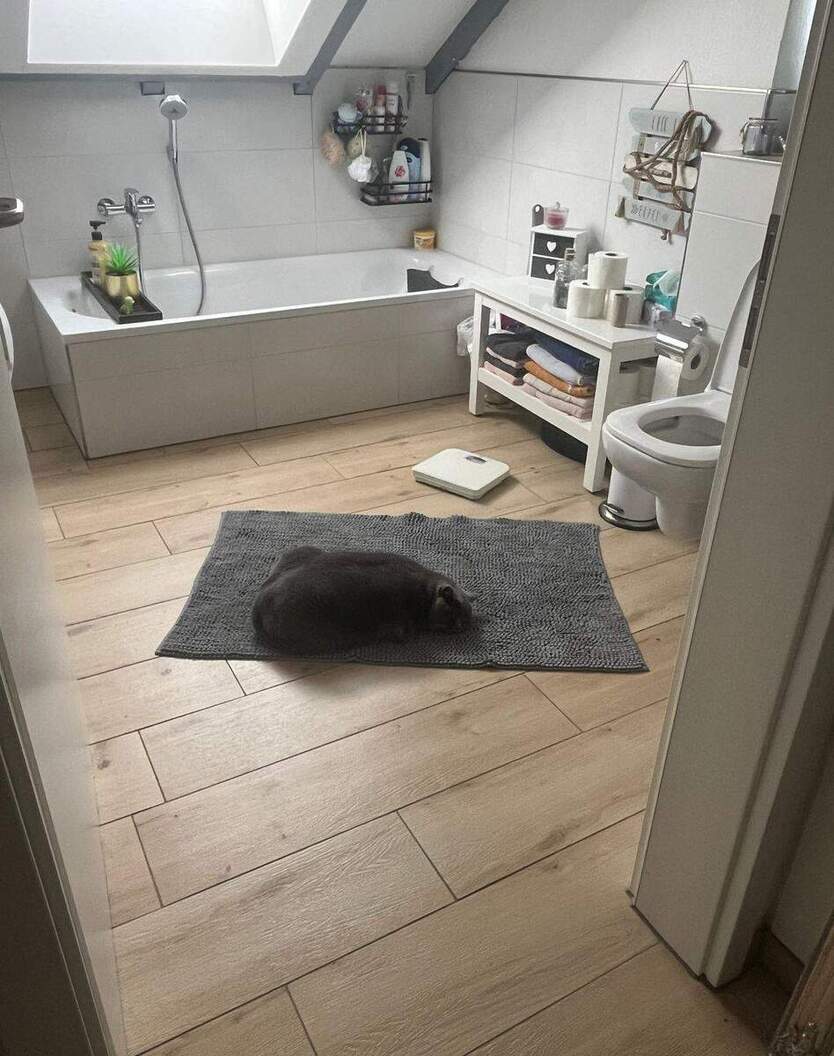 Helle schöne 4-Zimmerwohnung 4 zimmer