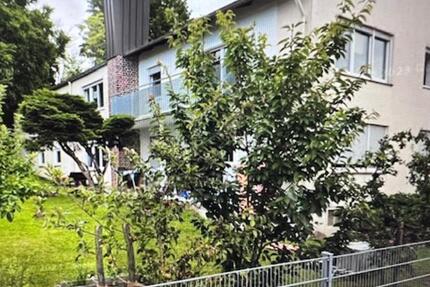 Mehrfamilienhaus mit 3 Wohnungen & großem Garten – Rohrbach (OT F 12 zimmer