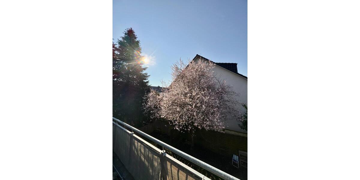 Etagenwohnung Verden (Aller) - 3 Zimmer, 72 m&sup2;, 745&euro; | Angebot:25883602