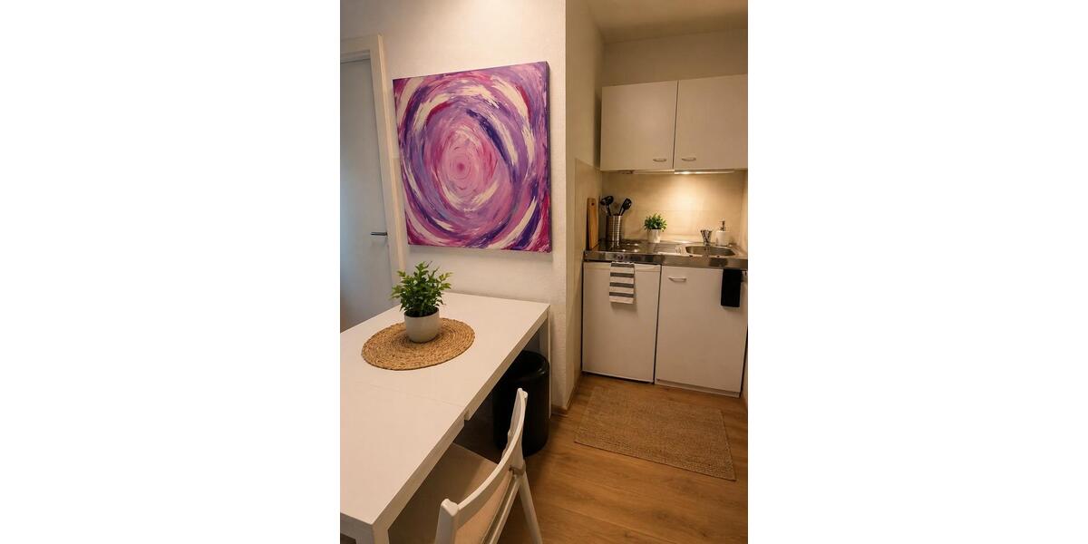Wohnen auf Zeit Ludwigshafen am Rhein Edigheim - 1 Zimmer, 25 m&sup2;, 39&euro; | Angebot:26407069