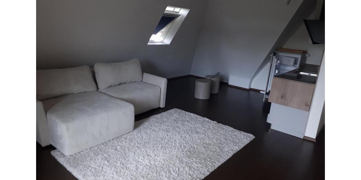 Dachgeschoßwohnung Edenkoben - 1 Zimmer, 39 m&sup2;, 460&euro; | Angebot:25045814