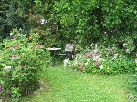 Erdgeschoßwohnung Uelzen - 4 Zimmer, 131 m&sup2;, 1.300&euro; | Angebot:26433458