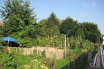 Renovierte 4 - Zimmer Wohnung mit Gartenanteil! zimmer