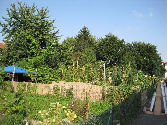 Renovierte 4 - Zimmer Wohnung mit Gartenanteil! zimmer