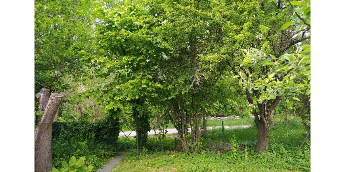 Wohnen auf Zeit Dachau - 6 Zimmer, 17 m&sup2;, 640&euro; | Angebot:25908660