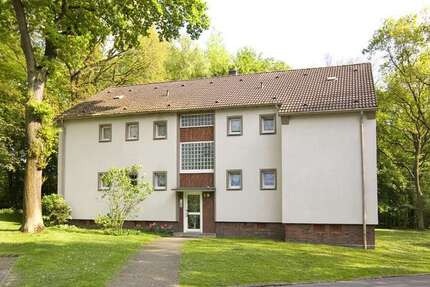 Wohnung Gelsenkirchen Resser Mark - 2.5 Zimmer, 48 m&sup2;, 399&euro; | Angebot:27201775