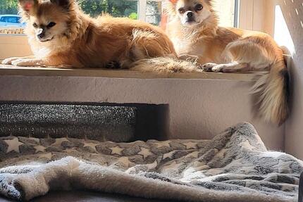 BITTE Lesen ,UM MITHILFE 1 zimmer