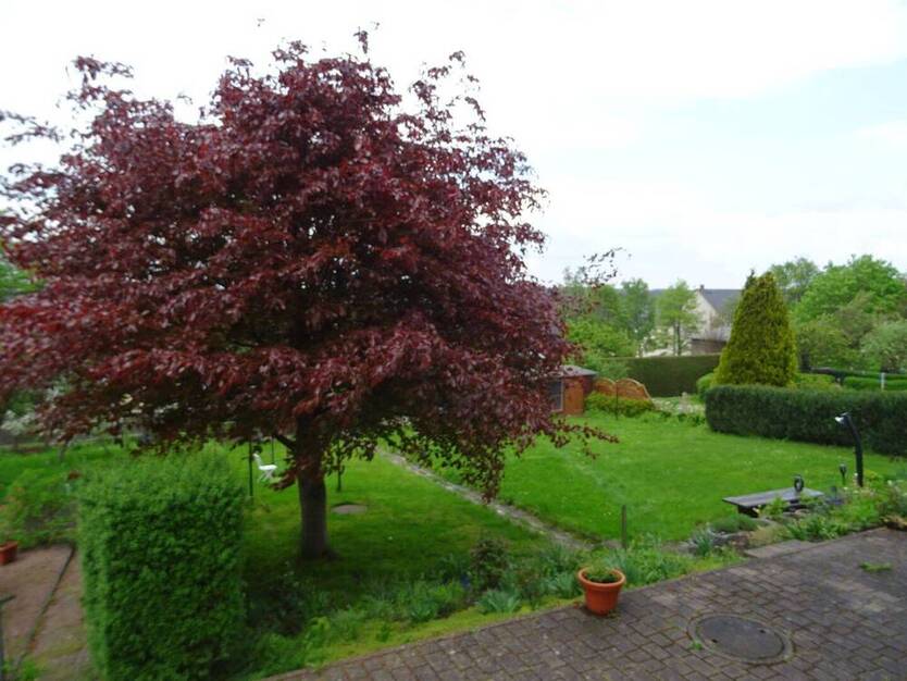 Helle und ruhig gelegene 3-Zimmer-Wohnung im Hochparterre in Auma zu vermieten