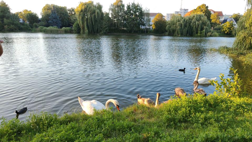 Wohnen auf Zeit Berlin Lichtenberg - 3 Zimmer, 70 m&sup2;, 690&euro; | Angebot:26615875
