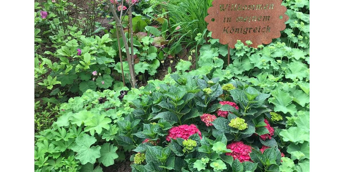 Dachgeschoßwohnung Bad Hersfeld - 2 Zimmer, 50 m&sup2;, 450&euro; | Angebot:25932501