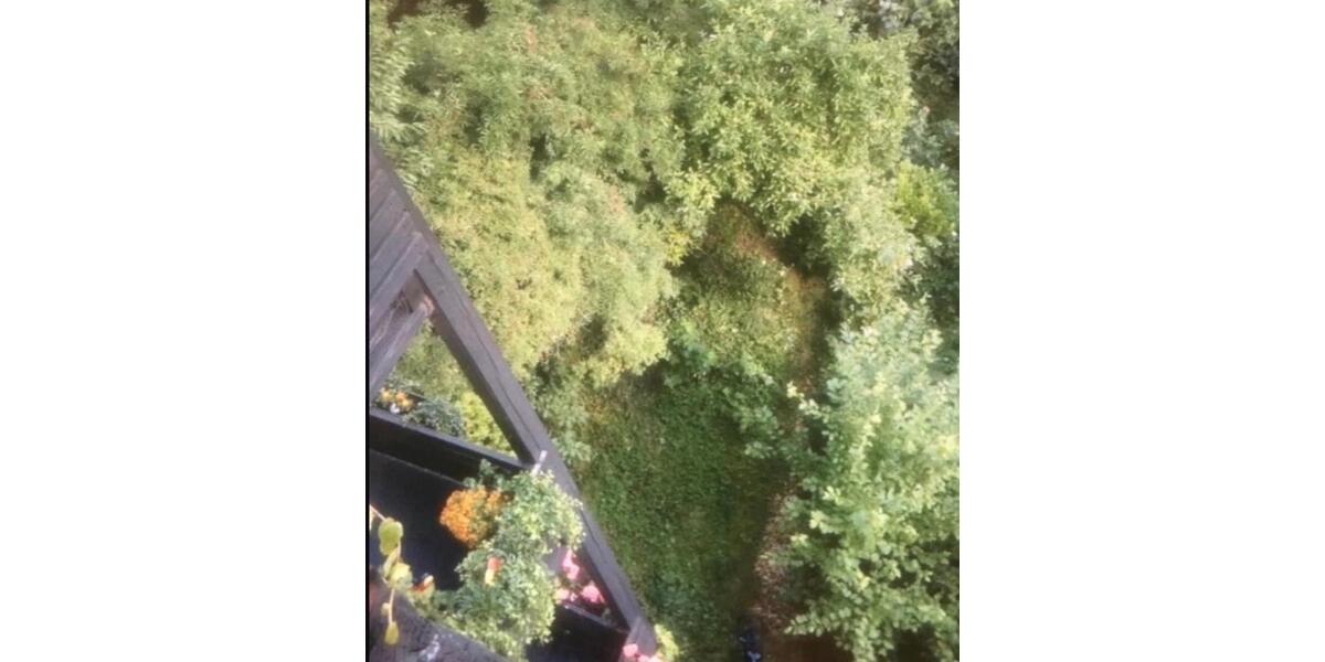 DÜSSELDORF 3 zimmer