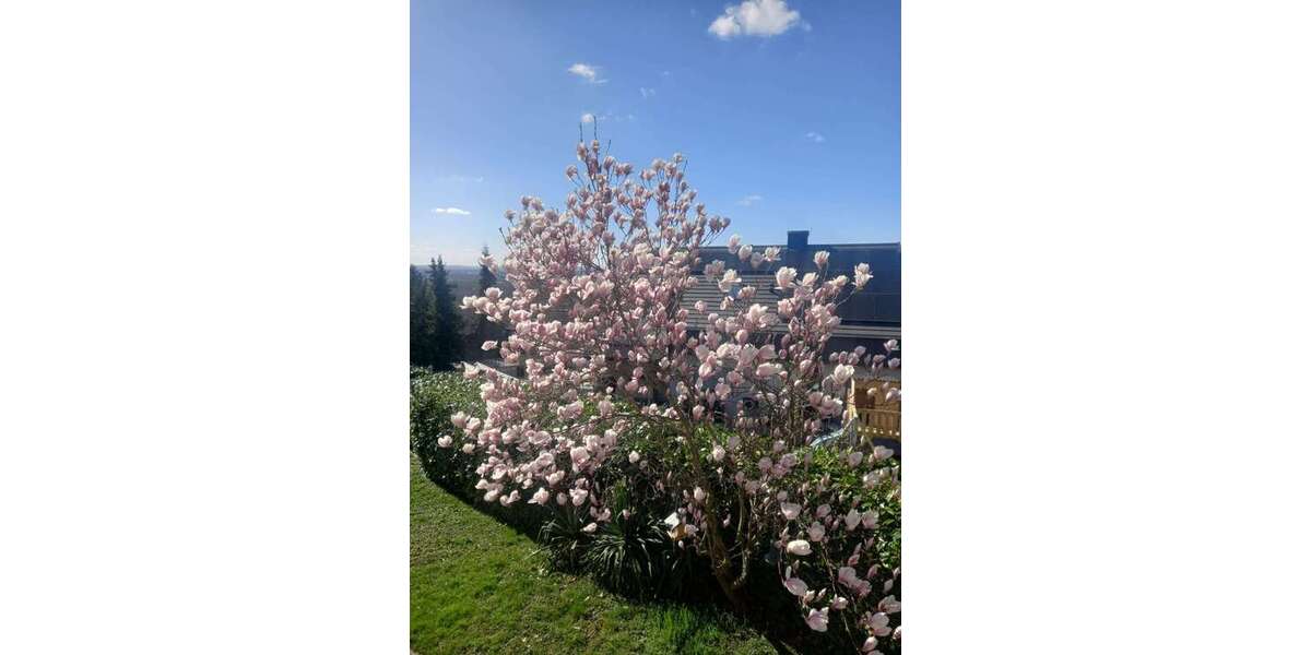 Etagenwohnung Bad Bellingen - 2 Zimmer, 51 m&sup2;, 510&euro; | Angebot:25397472