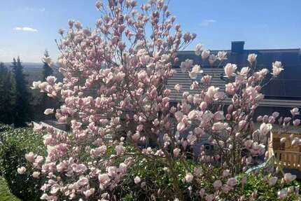 Wohnung Bad Bellingen - 2 Zimmer, 51 m&sup2;, 510&euro; | Angebot:25397472