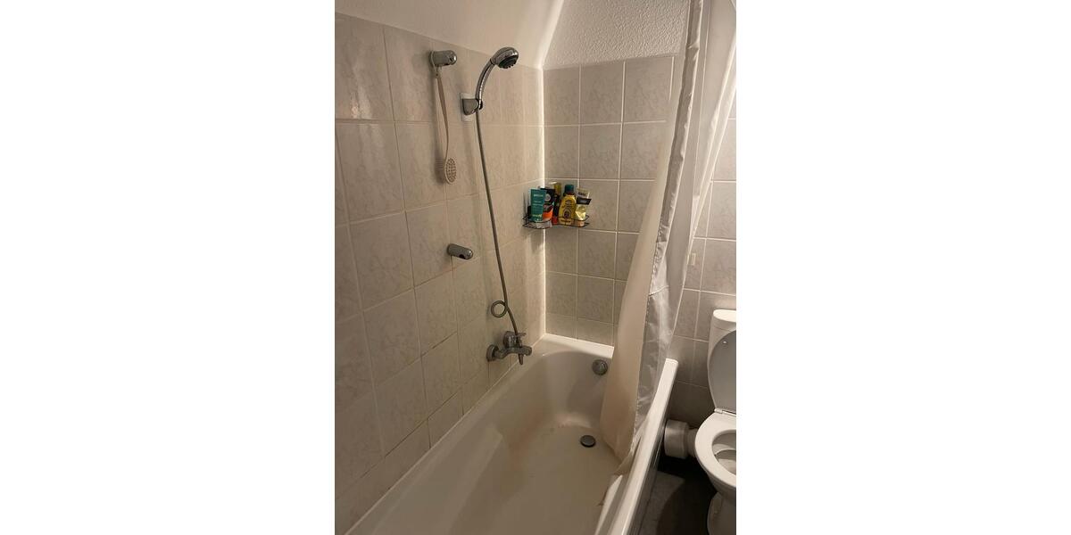 Wohnen auf Zeit Mittweida - 1 Zimmer, 29 m&sup2;, 343&euro; | Angebot:25053766