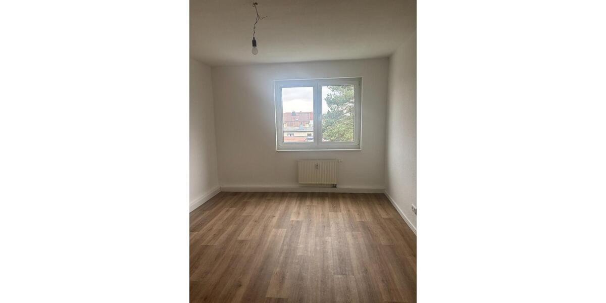 2-Raum Wohnung I ohne Balkon I neu renoviert 2 zimmer
