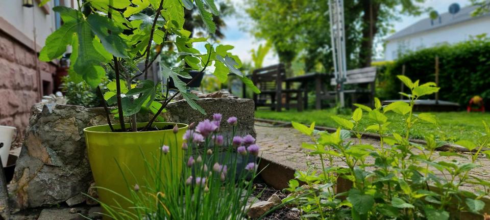 Wohnen auf Zeit Grenzach-Wyhlen Wyhlen - 2 Zimmer, 65 m&sup2;, 900&euro; | Angebot:25821015