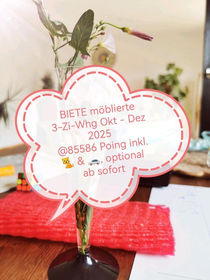 BIETE möblierte 3-Zi-Whg Okt - Dez 2025 zur Zwischenmiete