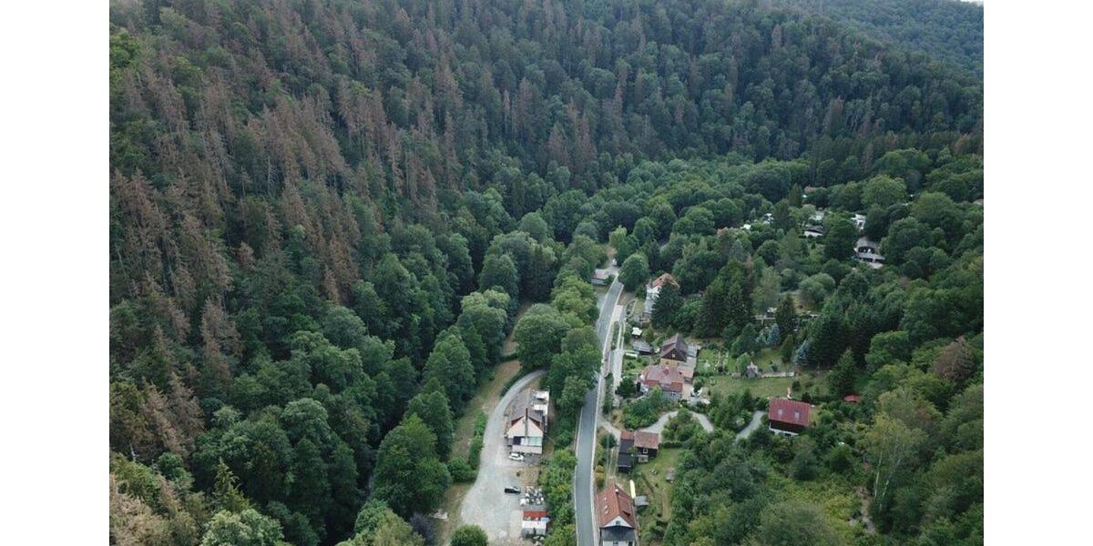 Wohnen auf Zeit Thale - 6 Zimmer, 120 m&sup2;, 14&euro; | Angebot:19467584